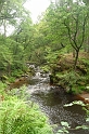 E 110719 (10) West Beck